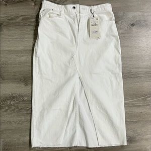 Zara Denim Midi Skirt